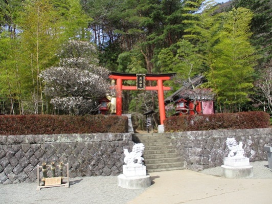 miya1300326