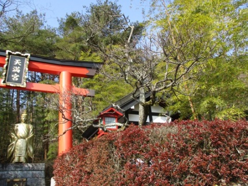 miya2300301