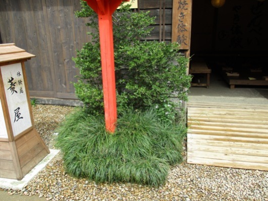 miya2300508