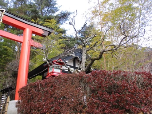 miyaume2310120