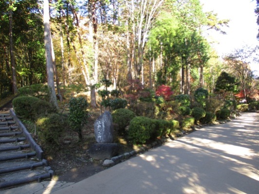 mo2011121