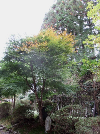 moka2011105