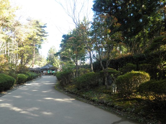 moka4271114