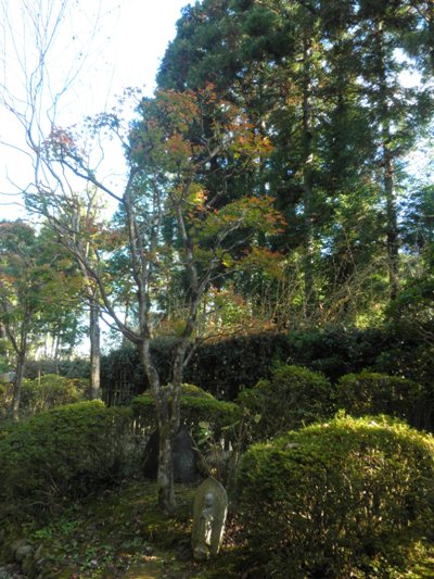 moka5271114
