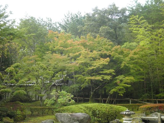 momien261002