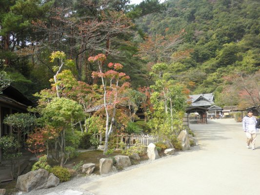 momien261031