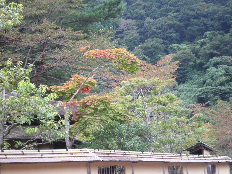 momiji221012