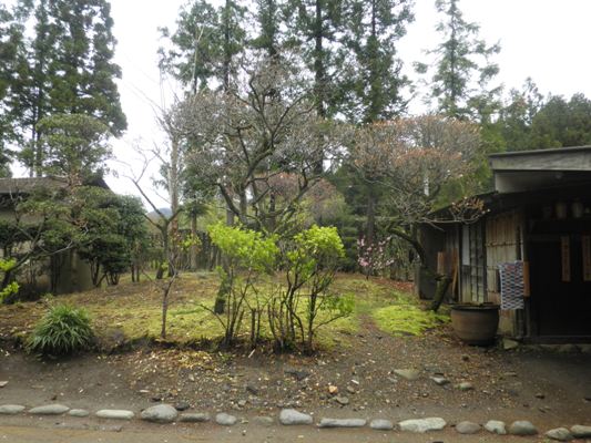 momoen270417