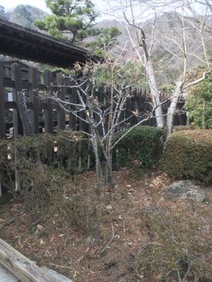 mon1290109