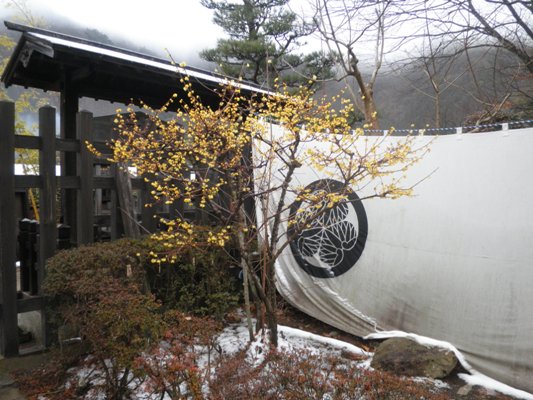 monen270122