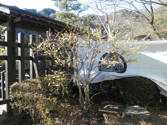 monenkei270113