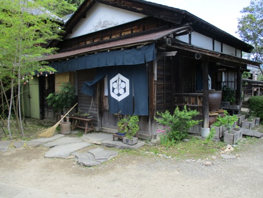 musi1290605