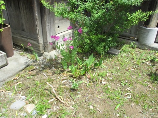 musi290605
