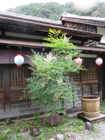 na2010707