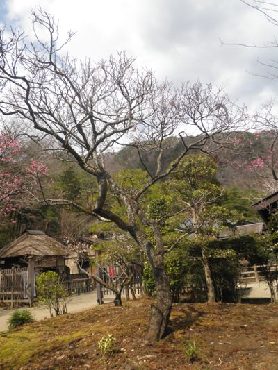 nakaen270323