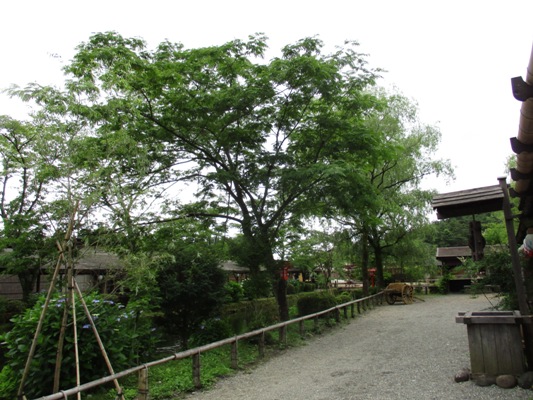 nemu2010708