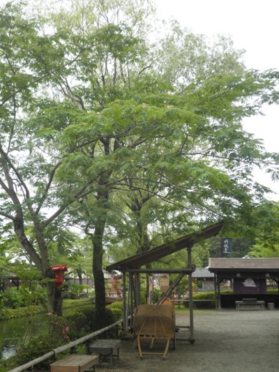 nemu2280629