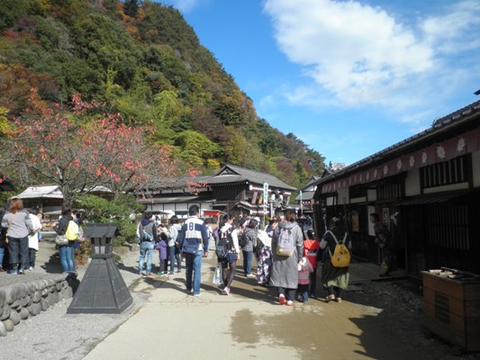 nigi1271103