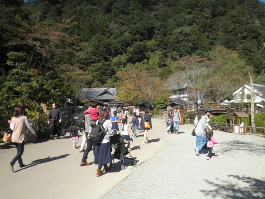 nigi281016