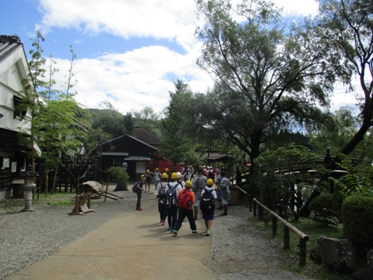 nigi290908