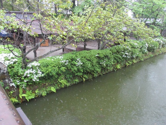 nihon2290513