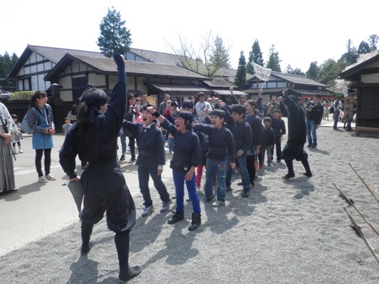 nin1270412