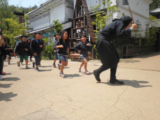 nin2270613