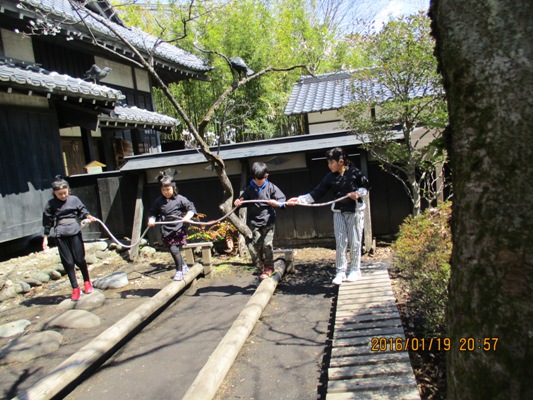 nin2290402