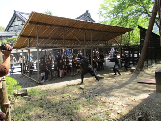 nin290505