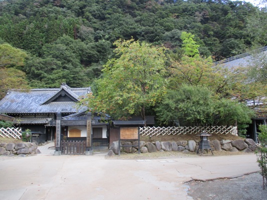 nin291005