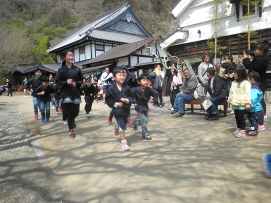 nin3270412