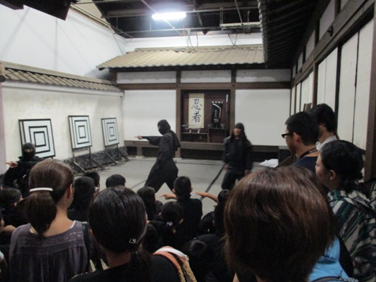 nin3290814