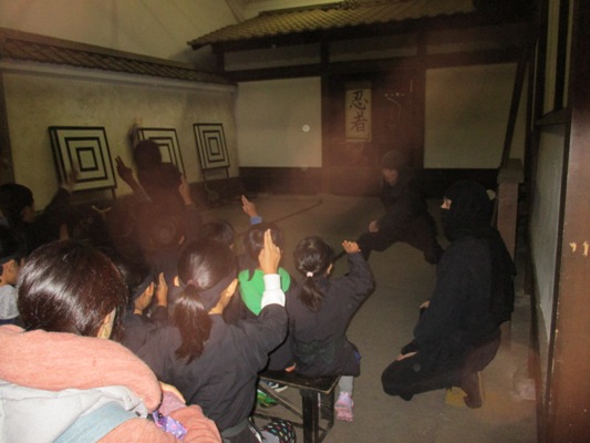 nin3291014
