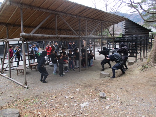 nin3291226