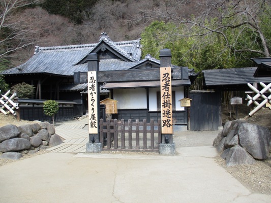nin3310328