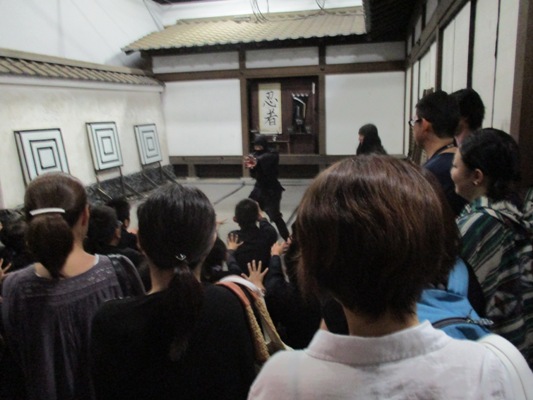 nin4290814