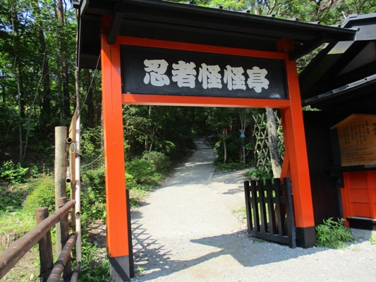 nin7290715