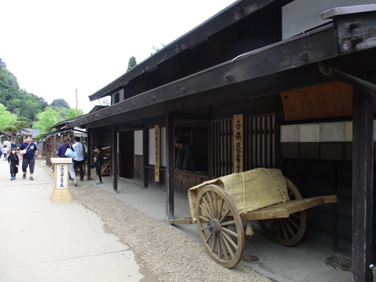 ninhen300505