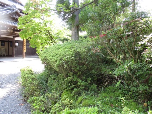 nisi2010826