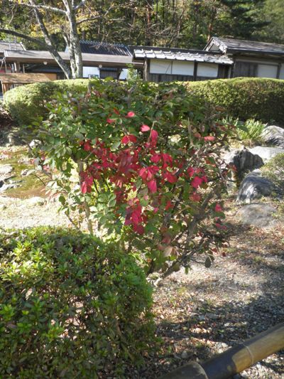 nisiki2281024