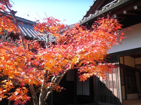 niwa281120