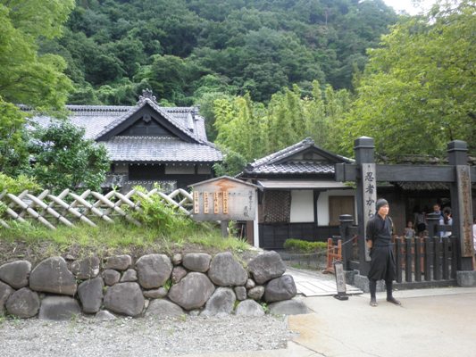niyasi260721