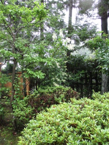 no11010630