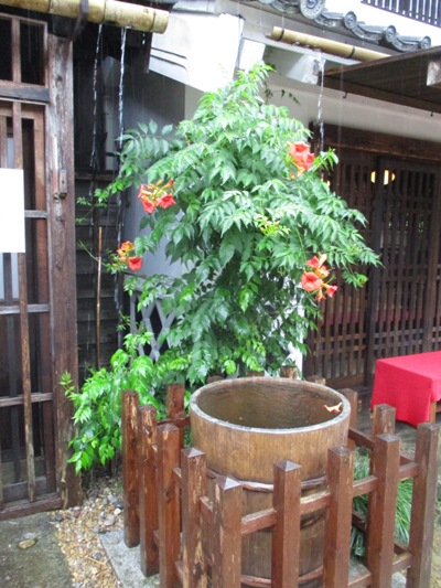 no2010703