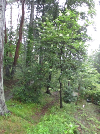 no3010630