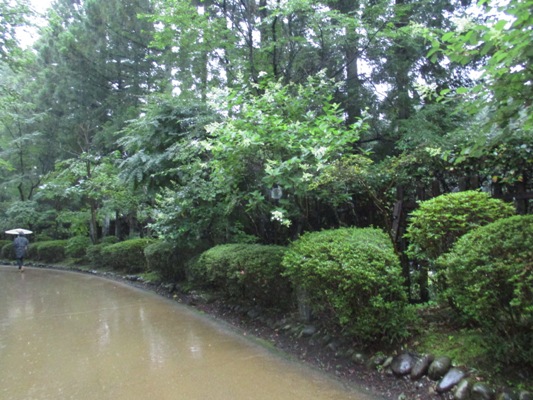 no5010630