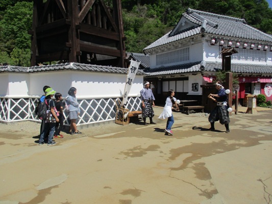 noji290519
