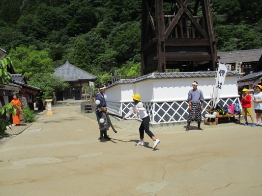 noji290609