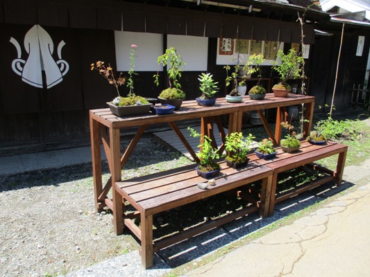 noko2290621