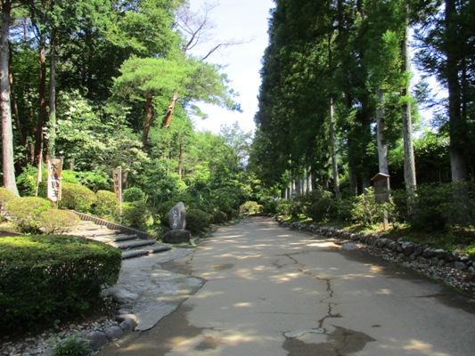 nori1290719